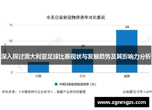 深入探讨澳大利亚足球比赛现状与发展趋势及其影响力分析